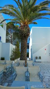 Nicos Studios & Apartments Paros Greece