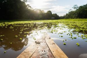 Ämak Iquitos Ecolodge -Inclusive
