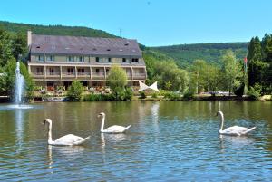 3 gwiazdkowy hotel Hotel Du Lac Guebwiller Francja