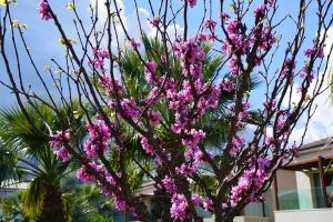 Almyros Beach Corfu Greece