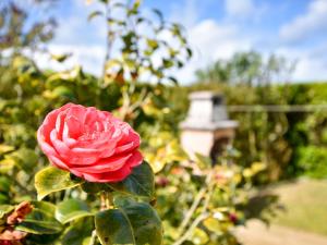 Maisons de vacances Atmospheric Breton house with garden : photos des chambres