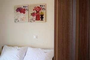 Amaryllis
