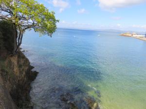 Bay view T2 vue sur mer