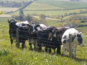The Brick Barn, Drewsteignton - Spreyton
