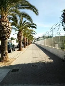 CL GRAVINA 20 - Грао-де-Кастельон