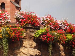 Hotels James Vignoble Hotel, Eguisheim : photos des chambres