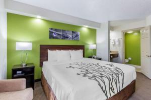 King Room - Non-Smoking room in Sleep Inn near Busch Gardens - USF