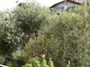 Katerina Hotel Argolida Greece