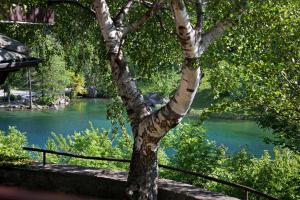 Chalet Sul Lago Hotel In Montagna