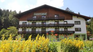 Pension Hubertushof beim Römerbad - 3hvězdičkové hotely ve městě Bad Kleinkirchheim