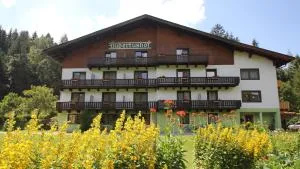 Pension Hubertushof beim Römerbad - تراشر هوهي