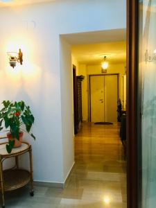 Ca’Tronconi ai Frari