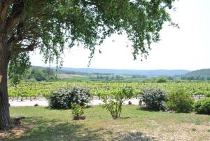 Maisons de vacances Maison Chemin d'Uzes : photos des chambres