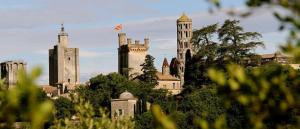 Maisons de vacances Maison Chemin d'Uzes : photos des chambres