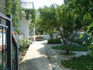 Pleiades Studios and Maisonettes Skopelos Greece