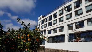 Hotel Stay Interview Jeju