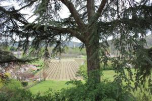 Maisons d'hotes Castel Rouge : photos des chambres