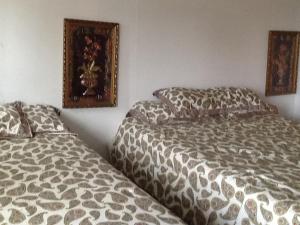 Superior Double Room room in Rosenberg Motel