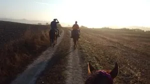 DAGO Farmhouse - Colle Malamerenda