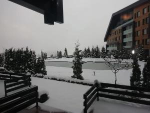 Aspen golf studio apartment D208