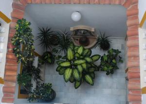Hostal Costa De La Luz