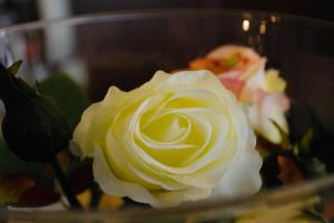 Hostal Costa De La Luz