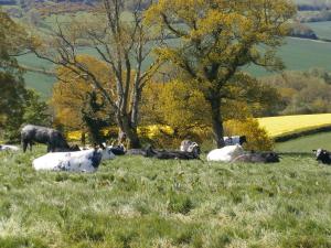 Harepath Farm Cottages 1