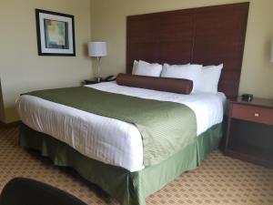 King Room room in Cobblestone Inn & Suites - Bottineau