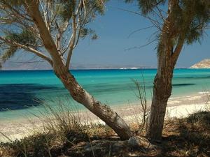 Palmos Self-Catering Apartment Naxos Greece