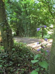 Hotels Abbaye de Belval : photos des chambres