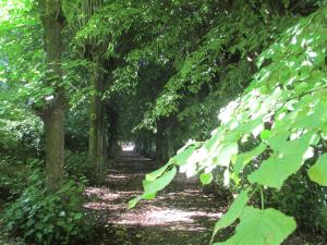 Hotels Abbaye de Belval : photos des chambres