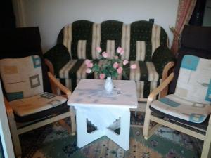 Large One-Bedroom Apartment with Balcony room in Haus Kati