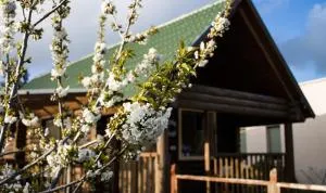 דליה ברמה -אירוח כפרי צמחוני - Odem