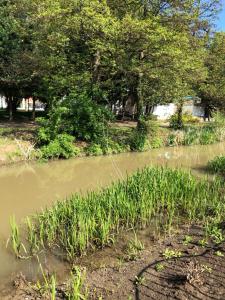 Regina Delux Apartman