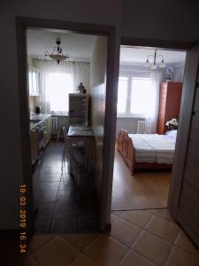 APARTAMENT CENTRUM MIASTA