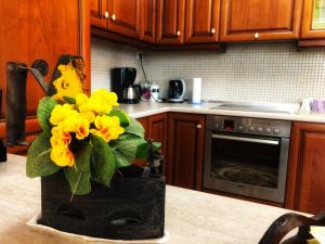 The Hillhouse near Alexandroupolis ,Daphnee Apartment