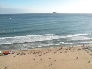 Cachirulo - Fincas Arena