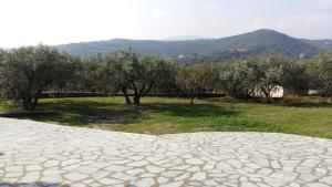 Olive Grove Villa Kavala Greece