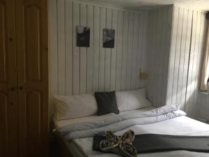 Pensjonat Chata Trango&scaron;ka Tale Slovakia