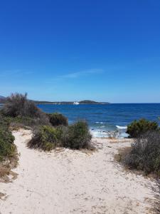 PortoRotondo Gardens img3