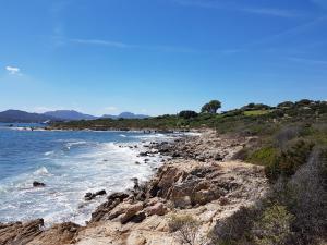 PortoRotondo Gardens img10