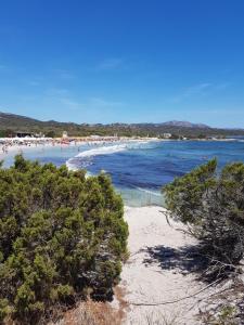 PortoRotondo Gardens img23