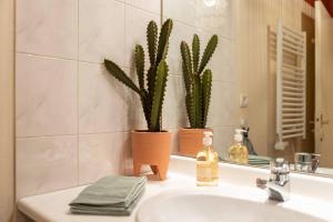 Appartements Appartement le Terracotta - Parking - Place du Capitole : photos des chambres