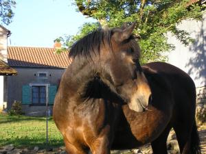 B&B / Chambres d'hotes LA FERME JARLAN : photos des chambres