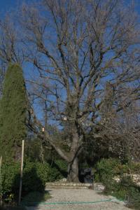 Sejours a la campagne domaine des tilleuls d'or : photos des chambres