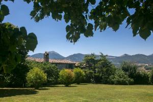 La collina dei ciliegi