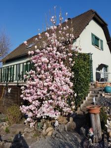 Sejours chez l'habitant le nid fleuri de Cravanche : photos des chambres