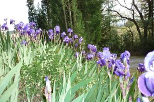 LES BRUYERES chambre dhôte de charme Calme assuré
