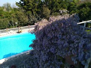 B&B LA MARCHESA