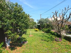 Apartments Selma 1227